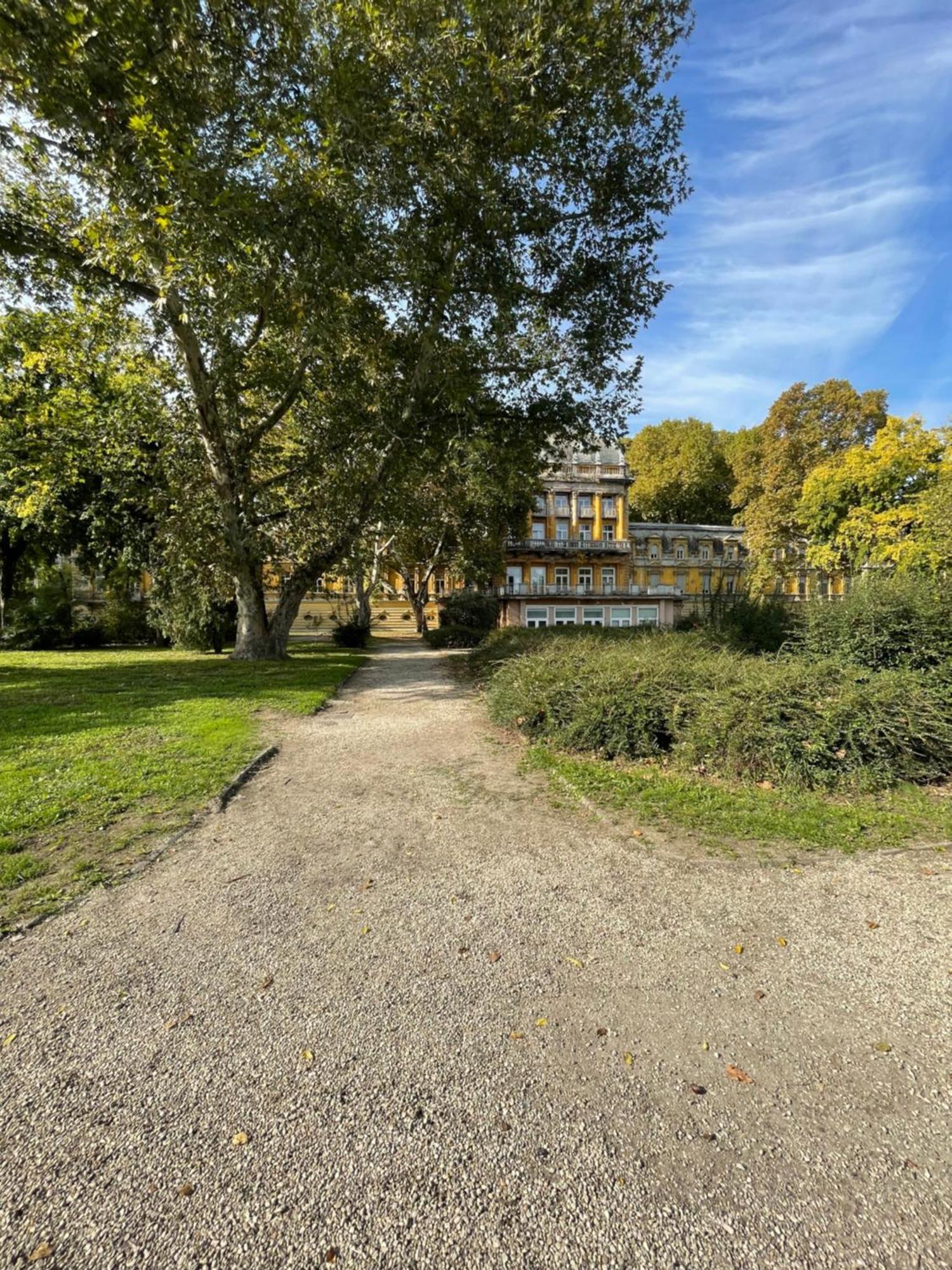 Margaret Apartment Next To The Lukacs Spa With Panorama Danube Budapest Kültér fotó